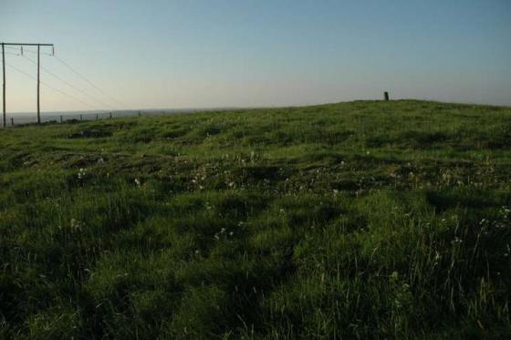 Clonin Hill (Round Barrow(s))