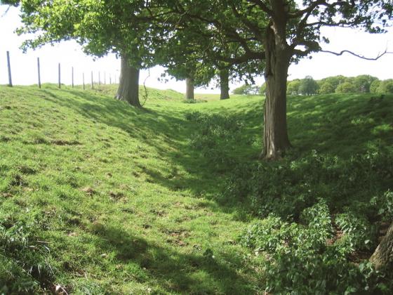 Perborough Castle (Hillfort)