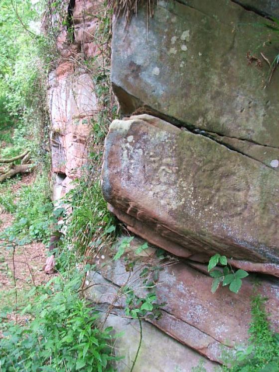 Ballochmyle Walls (Cup and Ring Marks / Rock Art)