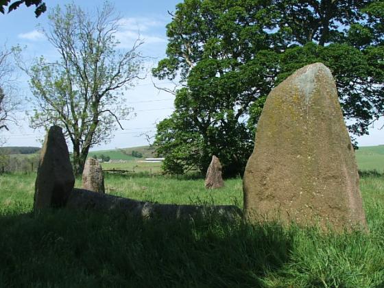 Sunhoney (Stone Circle)