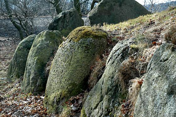 Kongehøjen ved Voldstedlund (Langdysse)