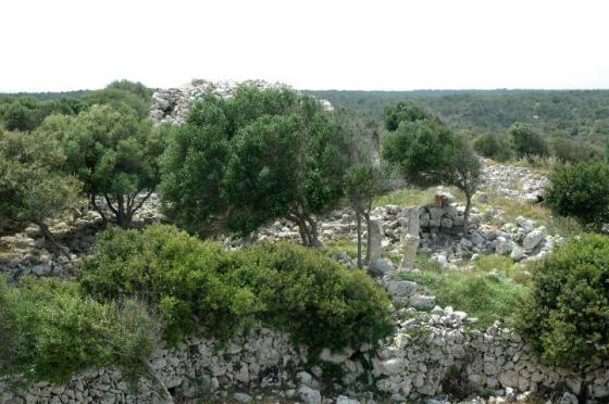 Sant Agusti Vell (Poblat)
