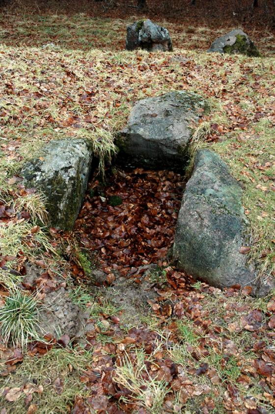 Havrekobbel (Complex)