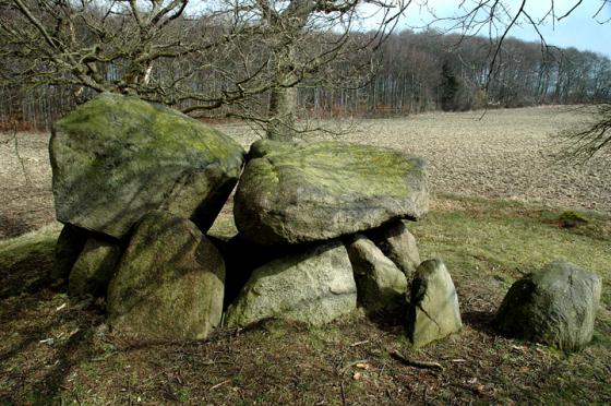 Bjerrebygaard (Dyssekammer)
