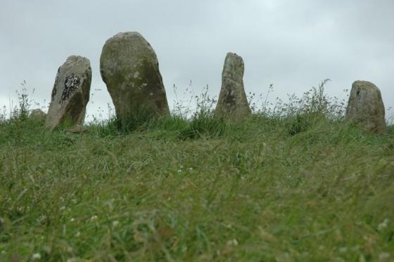 Robinstown Great (Standing Stones)