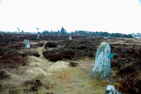 Tømmerby Vikingeravplads (Megalithic Cemetery)