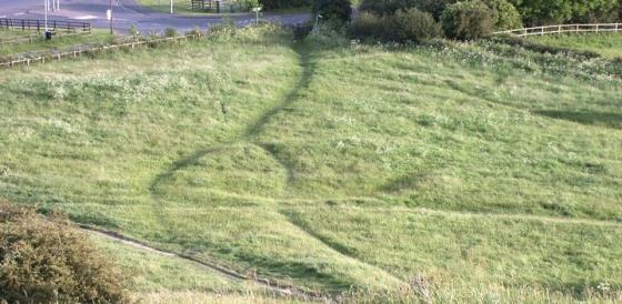 Penshaw Hill (Hillfort)