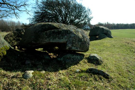Storsengrave ved Ravnebjerg Skov (Høj)