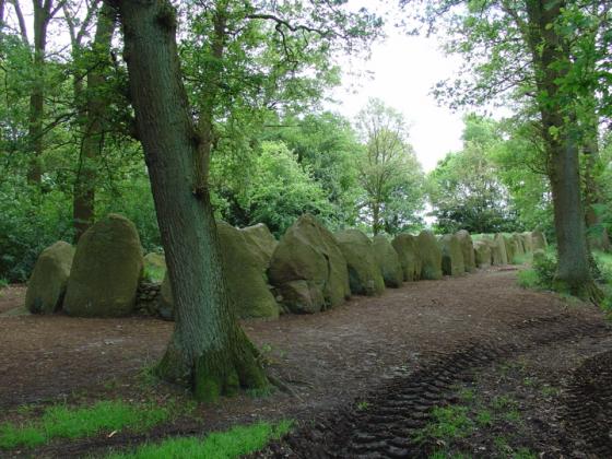 D43 Schimeres (Hunebed)