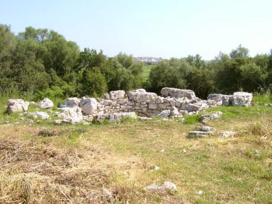 Son Fornes (Poblat)