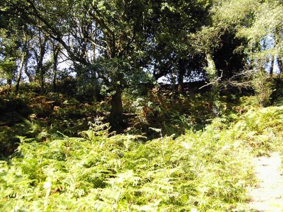 Dudsbury Camp (Hillfort)