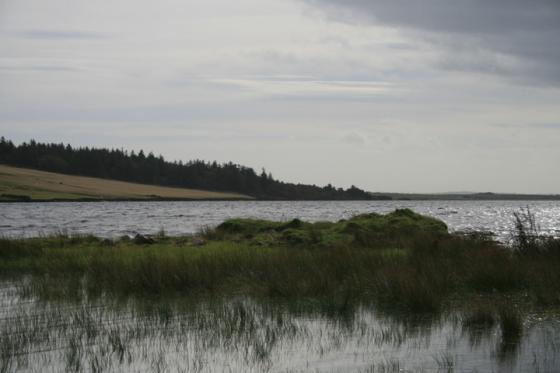 Tulloch of Assery (Chambered Cairn)