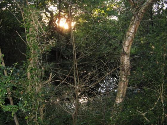 St Berriherts Kyle (Sacred Well)