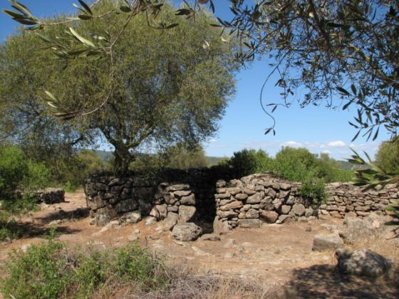 Serra Orrios village (Ancient Village / Settlement / Misc. Earthwork)