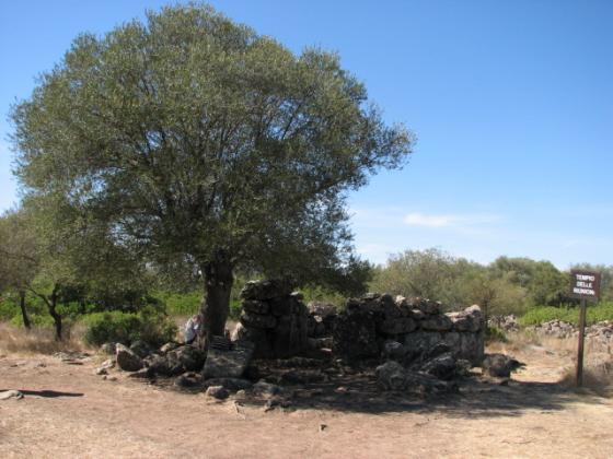 Serra Orrios Meeting Temple (Ancient Temple)