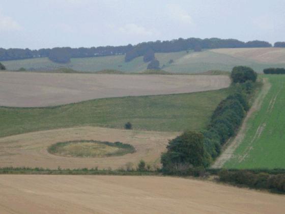 Aldbourne Four Barrows