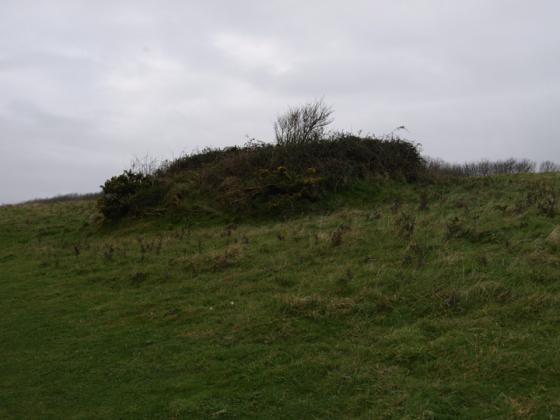 Knowle Hill (Round Barrow(s))