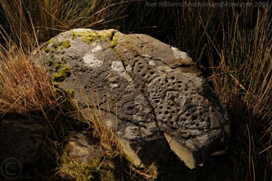 Derrynablaha 3 (Cup and Ring Marks / Rock Art)