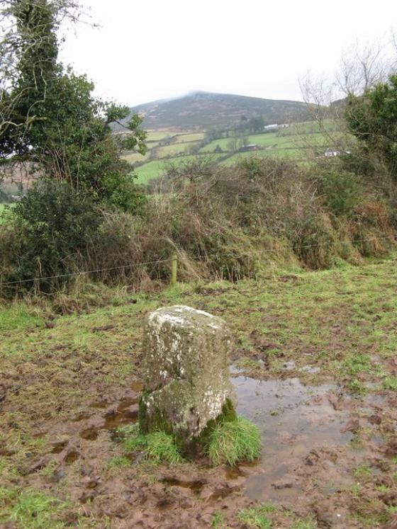 Rearnadargh (Standing Stone / Menhir)