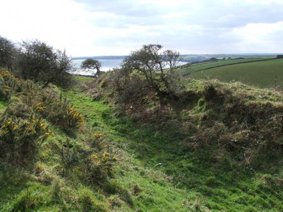 Veryan Castle (Hillfort)