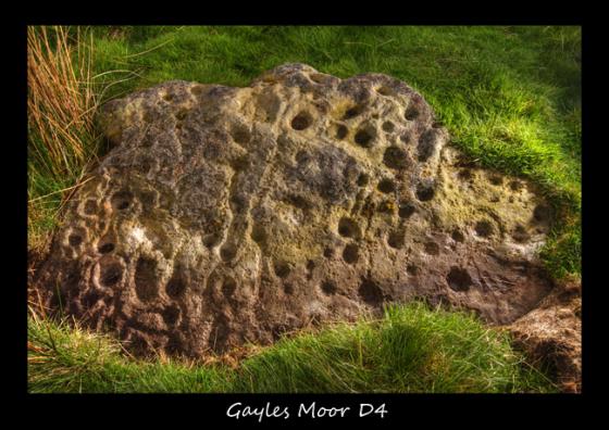 Gayles Moor (Cup and Ring Marks / Rock Art)