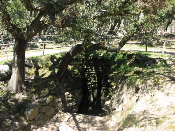Poddi Arvu (Sacred Well)