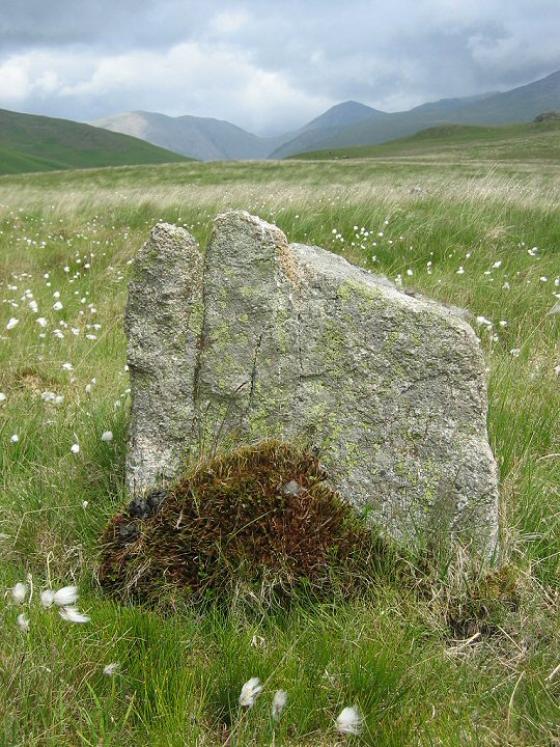 Low Longrigg (Stone Circle)