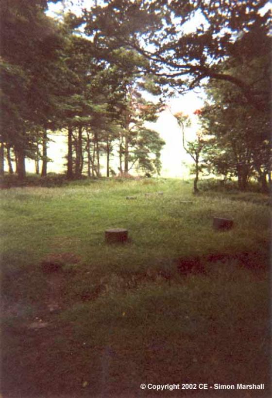 Bleasedale Circle (Timber Circle)