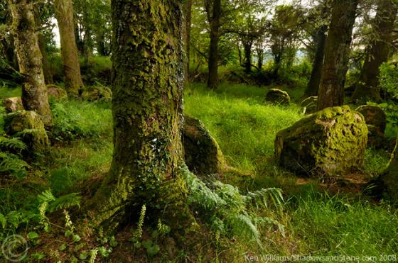 Glantane East S (Stone Circle)