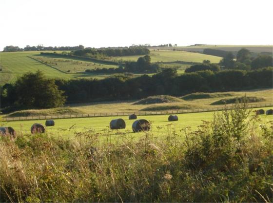 Lambourn Sevenbarrows