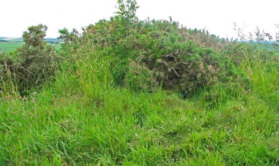 Longman Hill (Long Barrow)