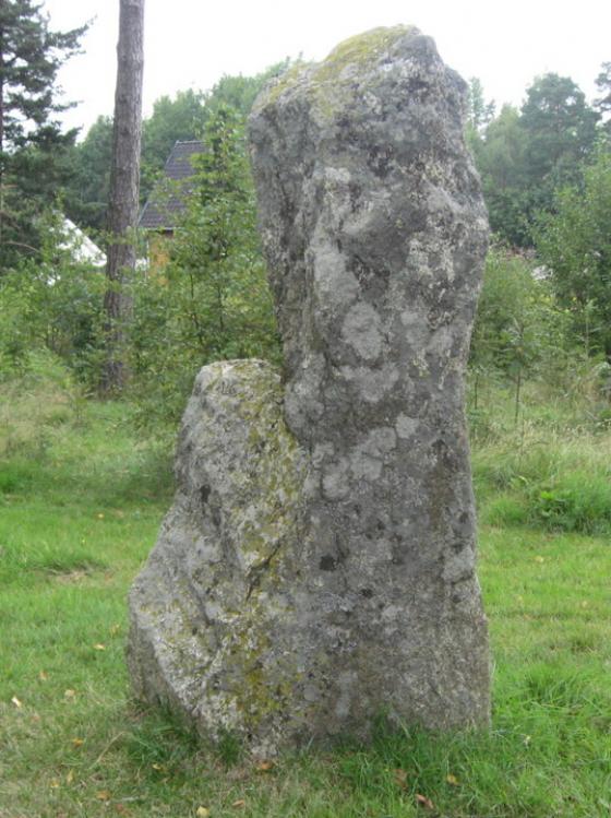 Elgesem (Skibssætning)