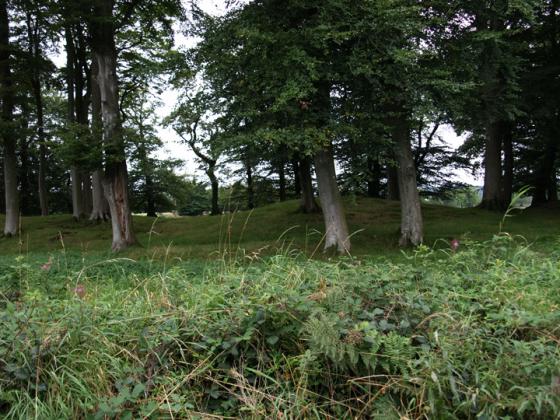 Robin Hood’s Butts North (Otterford) (Barrow / Cairn Cemetery)