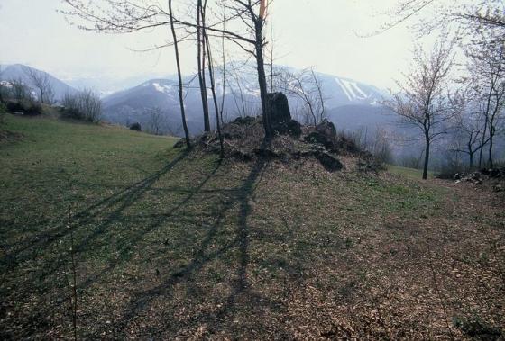 Savin’s menhir