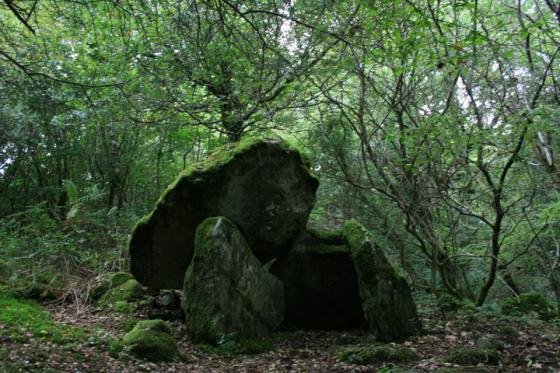 Twlc y Filiast (Dolmen / Quoit / Cromlech)