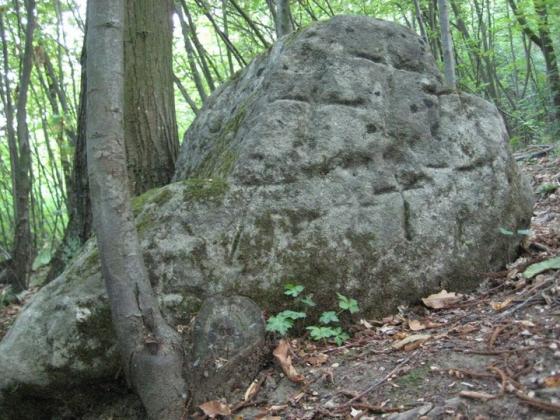 Colla’s Altar Rock (Cup Marked Stone)