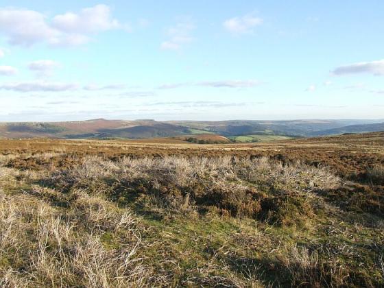 Bamford Moor