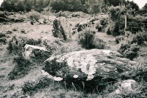 Derrynafinchin (Stone Circle)