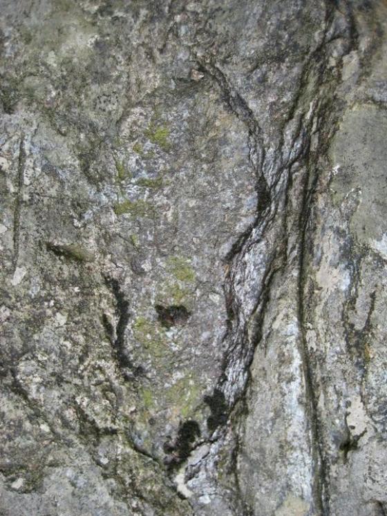 La Grande Roccia (The Big Rock) (Engraved stone)