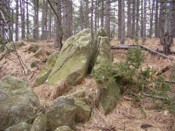Bric Aliberti menhirs