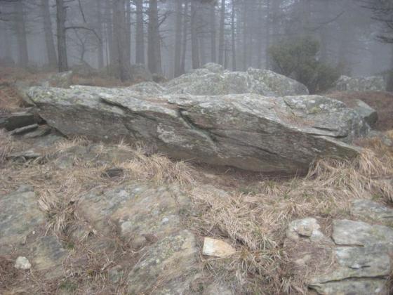 Bric Aliberti menhirs