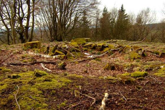 Little Doward (Hillfort)