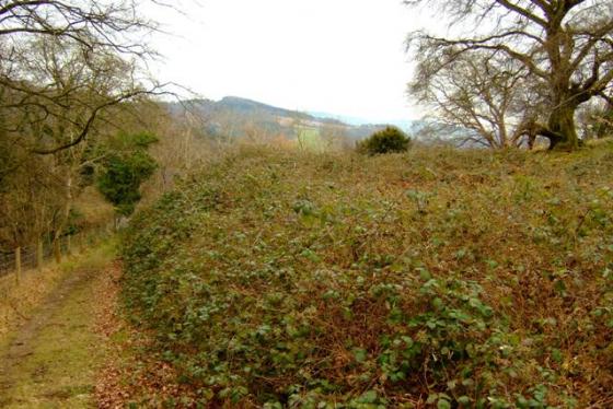 Little Doward (Hillfort)