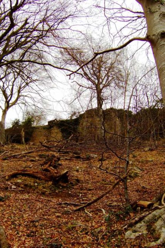 Little Doward (Hillfort)
