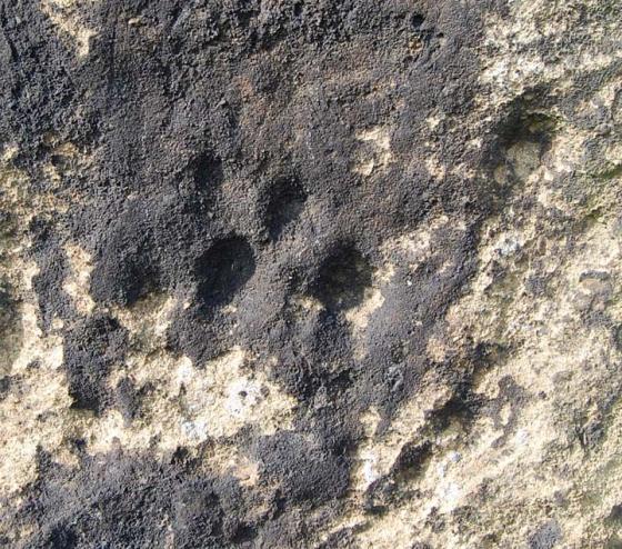 The Devil’s Arrows (Standing Stones)