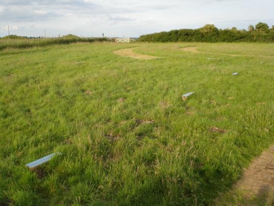 The Sanctuary (Timber Circle)