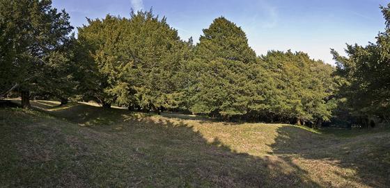Goose Hill Camp (Hillfort)