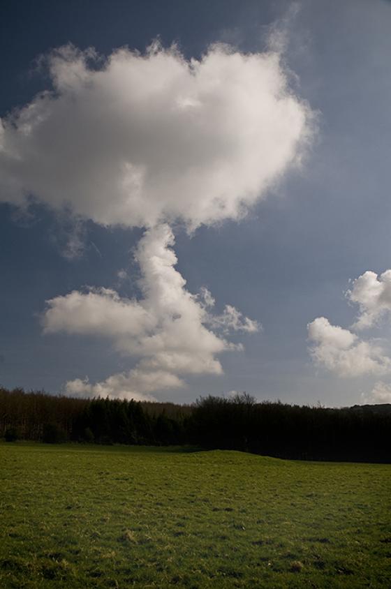 Stoughton Down (Long Barrow)