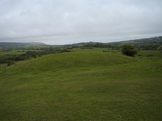 Corfe Common (Round Barrow(s))
