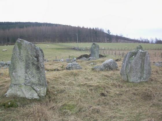 Upper Lagmore (Clava Cairn)